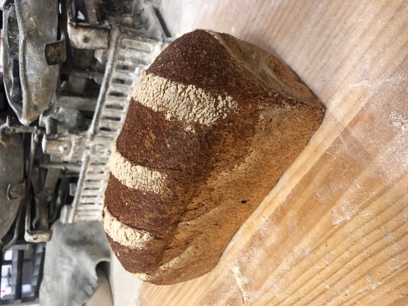 Pan de Molde Integral